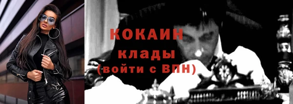 трава Арсеньев