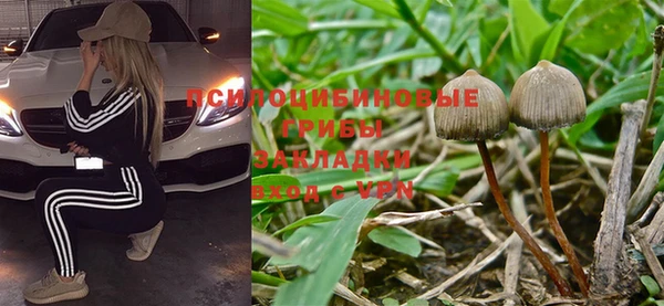 метадон Аркадак