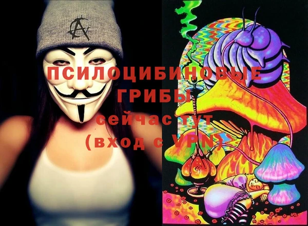 трава Арсеньев